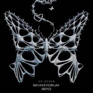 Sevmiyorum Seni (Explicit)