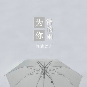 为你淋的雨