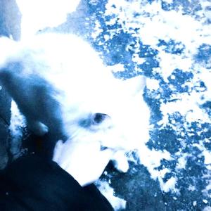 Afterglow (Slowed) (Explicit)