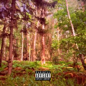 Here To Stay (feat. Prod. Quintuple) (Explicit)