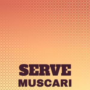 Serve Muscari