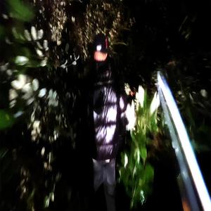 manicomio freestyle (Explicit)