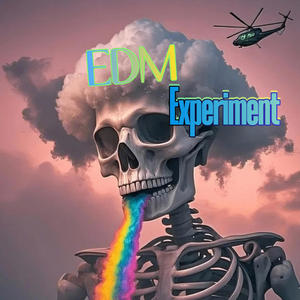 EDM Experiment