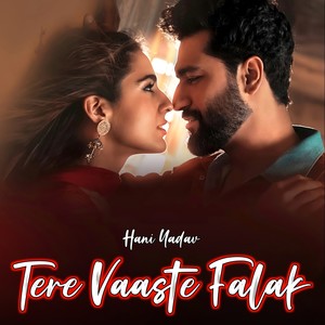 Tere Vaaste