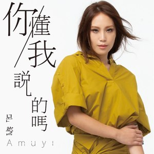 你懂我说的吗