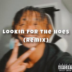 Lookin For the Hoes (Remix) [Explicit]