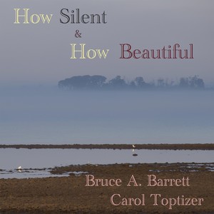 How Silent and How Beautiful (feat. Carol Topitzer)