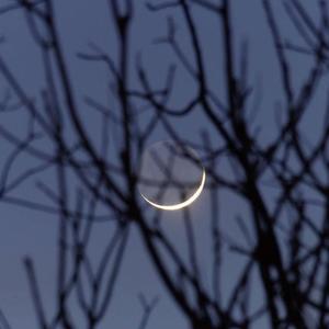 晚安 (超安静版)