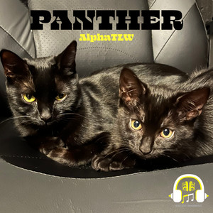 Panther (Explicit)
