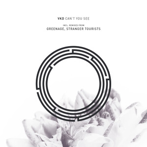 Can't You See (Stranger Tourists Remix)