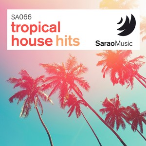 Tropical House Hits