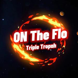 On The Flo_ (Explicit)