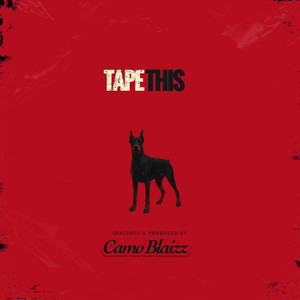 Camo Blaizz - Drip, Pt. 2 (Explicit)