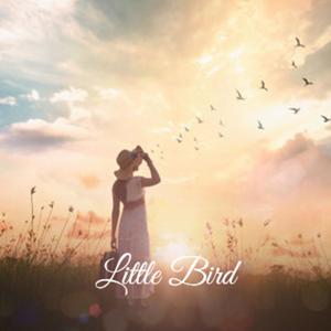 Little Bird