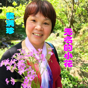 无名的小花