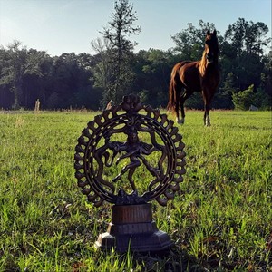 Bolo Bolo Om Namah Shivaya(feat. Jason Montero & Gary Frost)