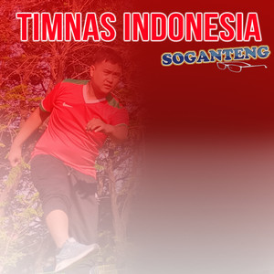 Timnas Indonesia