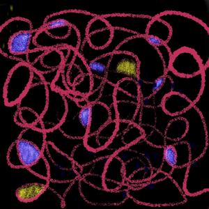 Dragon Luck (feat. Free The Optimus & D.R.U.G.S. Beats) (Explicit)