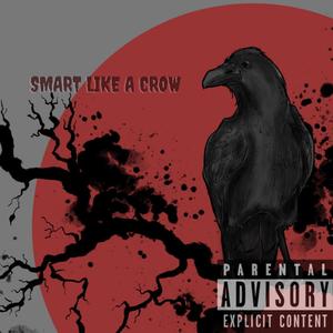 Smart Like A Crow (Explicit)