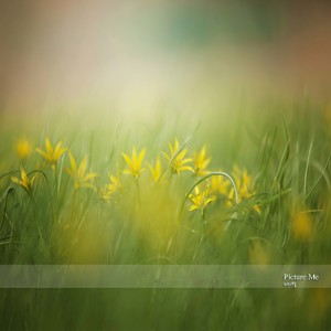 Picture Me (想象我)