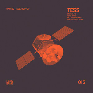 Tess (Mila Journée Remix)