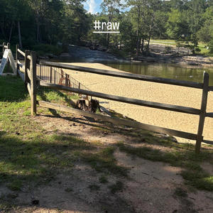 #raw (feat. Balenciauto) (Explicit)