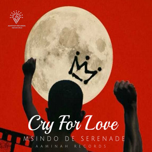 Cry for Love (Original Mix)