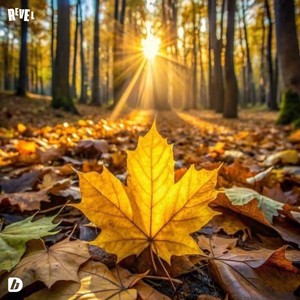 Autumn Ambient Music