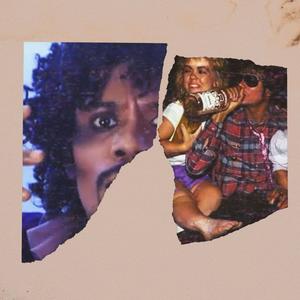 Quarantine Party(feat. Dj Madness & Goose Mongo) (Explicit)