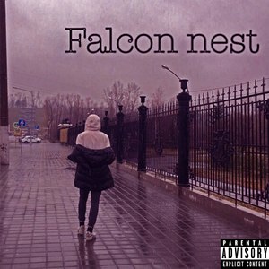 Falcon Nest