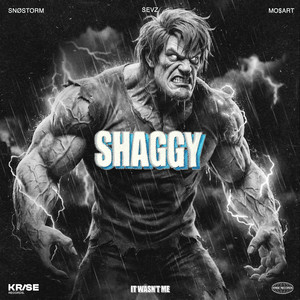 SHAGGY (Explicit)