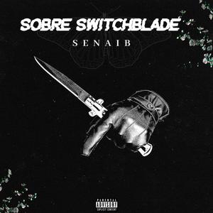 SenaiB - NIGHT TERRORS (feat. FROSTWRAITH)