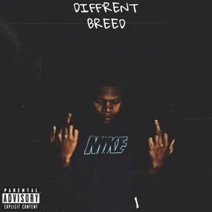 RARE (Explicit)