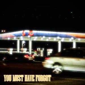 You Must Have Forgot (feat. 89ine) (Explicit)