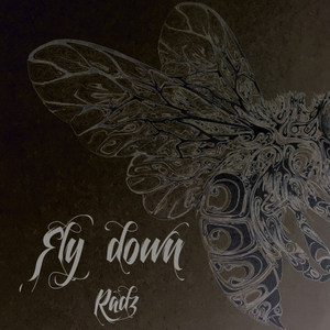 Fly Down