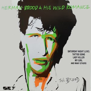 Herman Brood & His Wild Romance