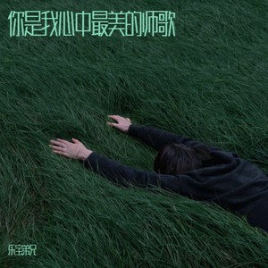 你是我心中最美的师歌