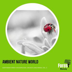 Ambient Nature World - Northern Forest Woodpecker, Crickets and Winds, Vol. 5