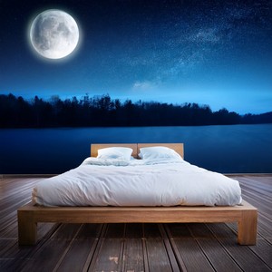 Melodía Profunda En La Noche