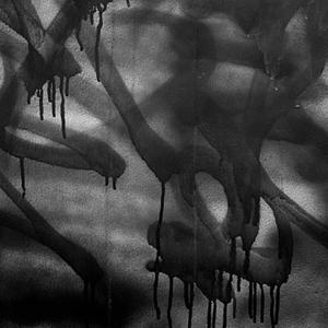 FWU (feat. zipbby!+* & MDMA) (Explicit)