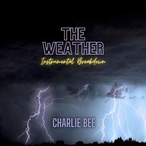 The Weather (Instrumental)