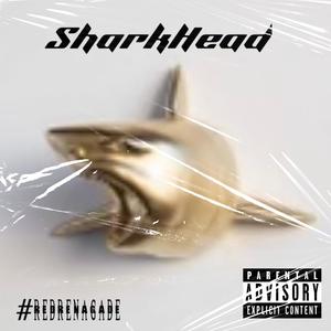 SharkHead (feat. Tearaway onnat) (Explicit)