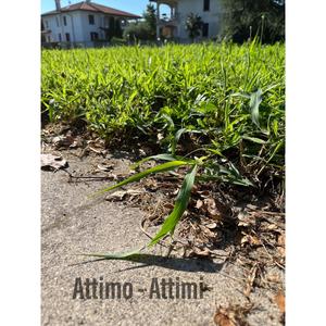 Attimi (Original Version) [Explicit]