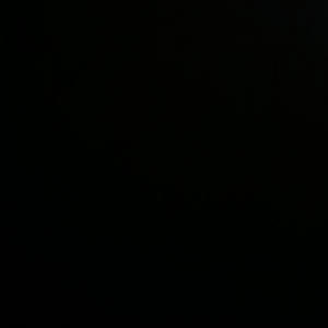 Distrust - World dead