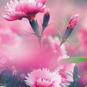 5.10 (prod by kayzee)