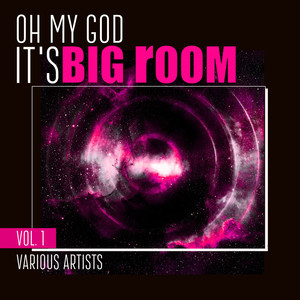 Oh My God It's Big Room, Vol. 1