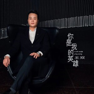 你是我的英雄