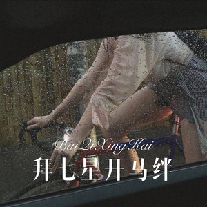 捡拼图的人 (Remix)封面