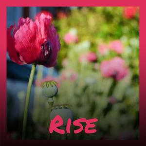 Rise