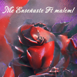 Me Enseñaste (feat. Maleml) (Explicit)